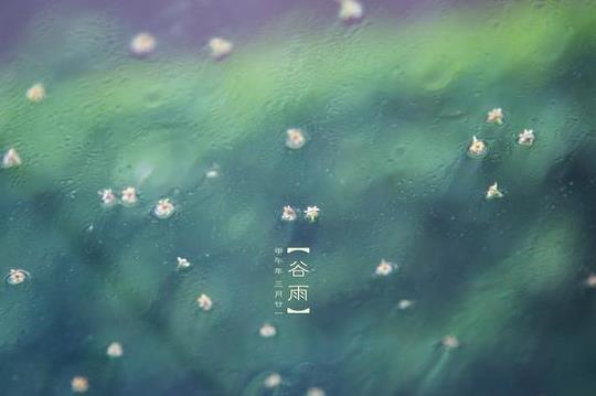 谷雨后下雨天氣會以后怎么樣?谷雨容易下雨嗎