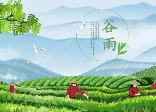 哪年谷雨是4月21號?每年谷雨是幾月初幾