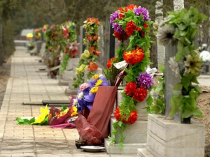 掃墓的文化內涵-掃墓的風俗