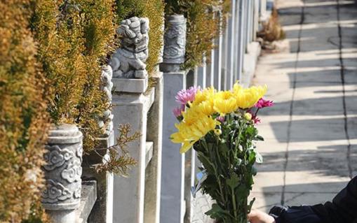 清明節上香上幾根?清明節掃墓先去爺爺墳還是父親墳