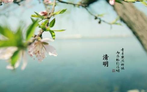 清明節上墳前三后四算當天嗎?清明節買的花可以拿回家嗎