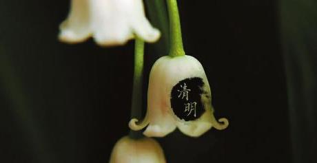 清明節(jié)上墳是前后十天嗎?清明節(jié)上墳單號(hào)去好還是雙號(hào)去好