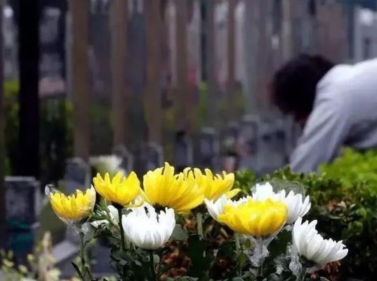 2021年冬至上墳可以推后嗎?2021年冬至兄弟姐妹可以分開上墳嗎?