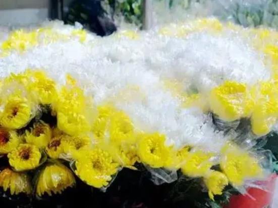 ʲôrω?zi)ǰ?></a></p>
              <p class=title style=