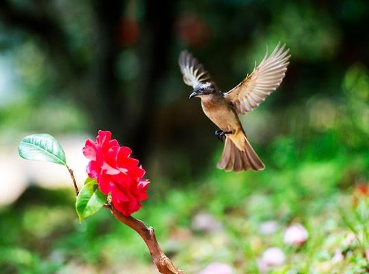 婚前躲春必須去婆婆家嗎?2022年躲春必須躲夠時間嗎?