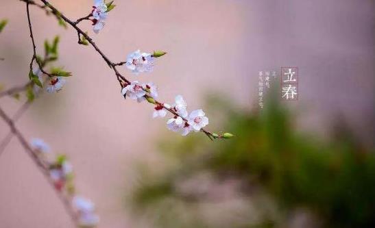 2022年躲春必須一個人躲起來嗎?2022立春時正好在上班怎么躲春?