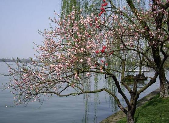 躲春玩手機有什么后果沒?躲春是不是誰都不能見?