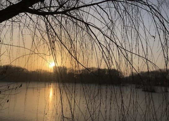 2022年躲春要怎么躲?立春躲春要注意什么?