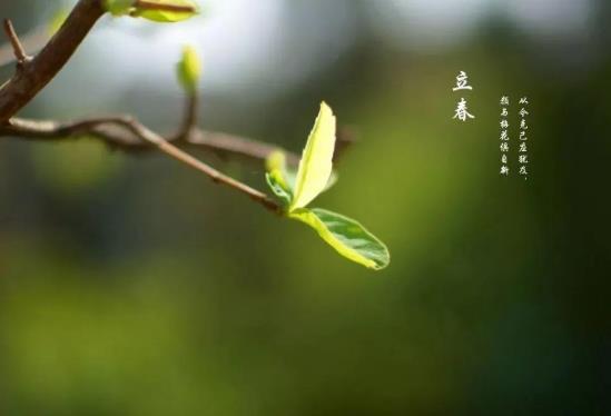 2022年打春什么屬相需要躲春?立春躲春是什么意思?