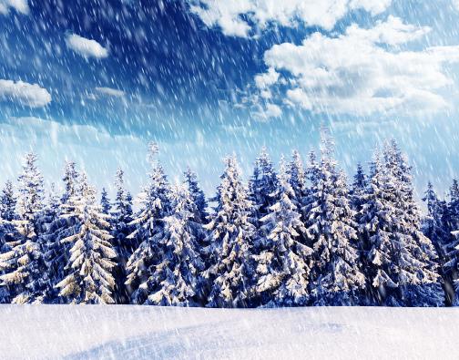 下雪天怎么開車好?下雪天開車踩剎車有異響是怎么回事?