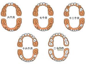 寶寶幾個月長牙?寶寶長牙順序圖 長牙注意事項