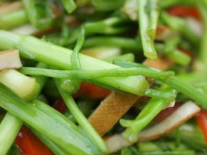 寶寶能吃芹菜嗎?寶寶吃芹菜有什么好處