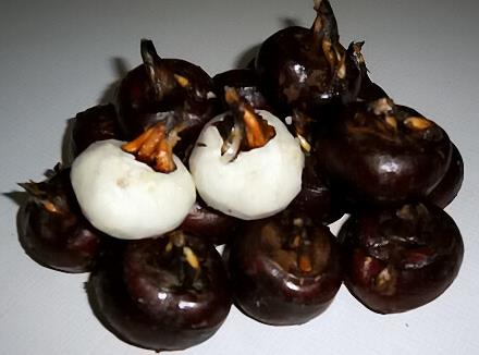 �����ܳ�ݩ�j�᣿������ݩ�j������