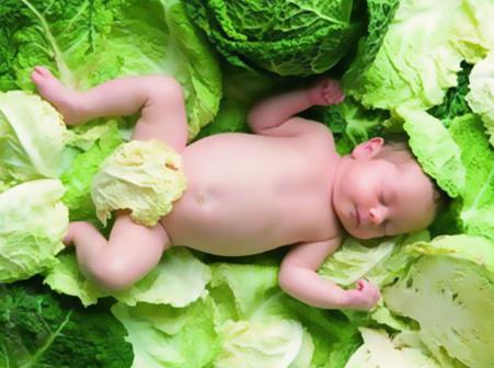 嬰兒能吃纖維素嗎?纖維素的作用