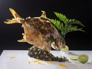 孕婦可以吃多寶魚嗎?孕婦吃多寶魚的注意事項