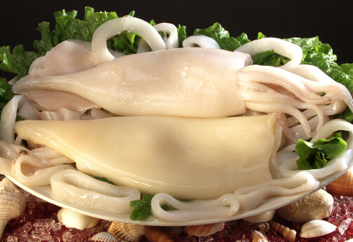 孕婦吃墨魚有什么好處?吃墨魚的做法