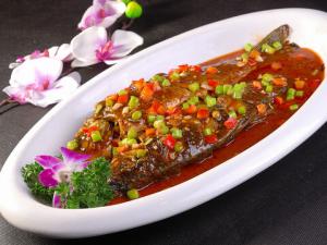 孕婦可以吃鯽魚嗎?孕婦吃鯽魚的做法