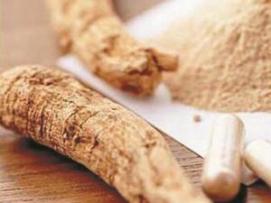 孕婦能吃當(dāng)歸嗎?孕婦吃了當(dāng)歸會(huì)怎樣