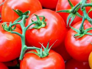 孕婦吃西紅柿好嗎?孕婦可以吃西紅柿嗎