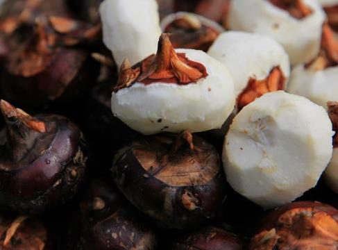 �ЋD���Գ�ݩ�j�᣿�ЋD�ܲ��ܳ�ݩ�j