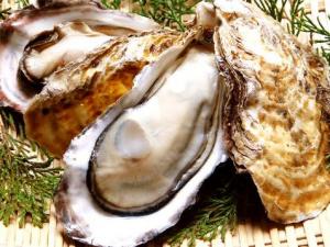 懷孕期間能吃海蠣子嗎？孕婦可以吃海蠣子嗎