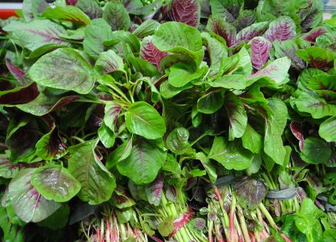 孕婦能吃莧菜嗎?孕婦吃莧菜好不好