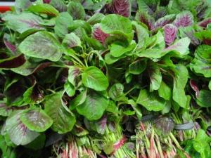 孕婦能吃莧菜嗎?孕婦吃莧菜好不好