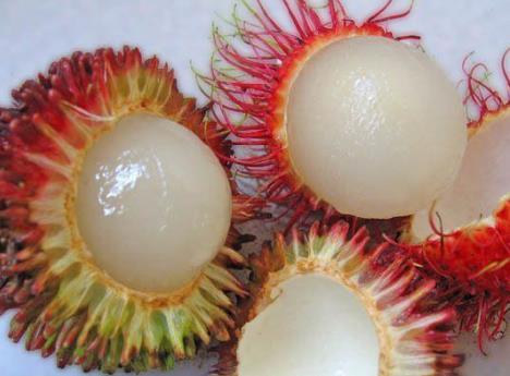 ЋDܳԼtëЋDԼtëʲô̎