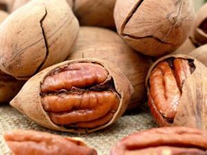 孕婦能吃碧根果嗎?孕婦吃碧根果有什么好處