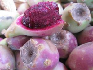 孕婦能吃仙人掌果嗎?孕婦吃仙人掌果好嗎