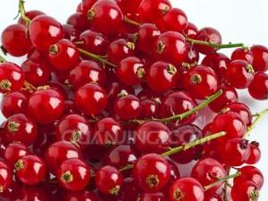 孕婦能吃醋栗嗎？孕婦吃醋栗有什么好處