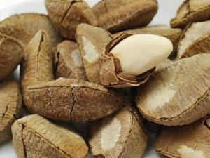 孕婦可以吃鮑魚果嗎?孕婦吃鮑魚果的食用禁忌