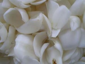 孕婦能吃百合嗎？孕婦吃百合有什么好處