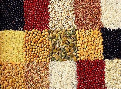 哺乳期怎么補膳食纖維?含膳食纖維高的食物