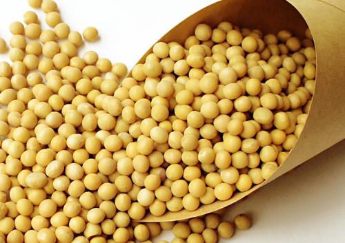 孕婦吃黃豆有什么好處?孕婦吃黃豆的做法