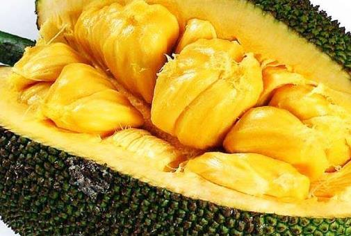 孕婦能吃菠蘿蜜嗎?孕婦怎樣吃菠蘿蜜才安全