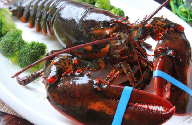 孕婦能不能吃龍蝦?孕婦吃龍蝦好不好