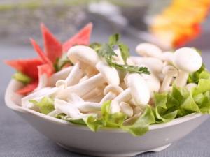 吃杏鮑菇的注意事項-吃杏鮑菇要放味精嗎