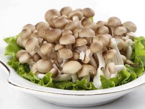 吃蟹味菇要注意什么?蟹味菇的儲存方法