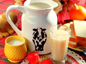 牛奶和雞蛋可以一起吃嗎?牛奶不能和什么一起吃?