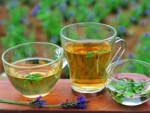 隔夜茶為什么不能喝?隔夜茶能減肥嗎?