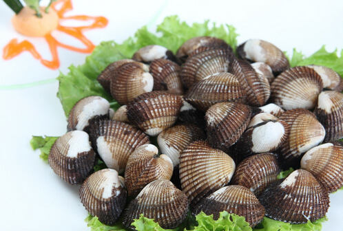 ë�������-ʳ��ë���ע�����