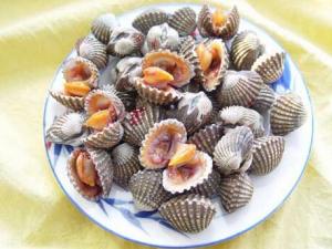 泥蚶怎么做？泥蚶的做法-泥蚶的營養價值