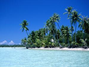 夏天別吃這些食物,小心會體臭!