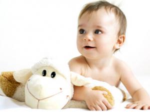 補鈣飲食大PK！別陷入補鈣誤區