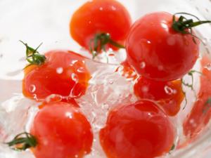 生吃番茄真的可能致命嗎?