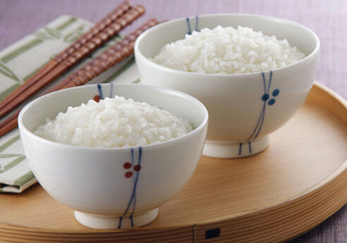 不吃主食可以減肥嗎?正確的減肥方法