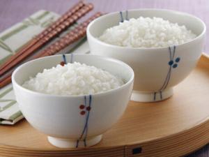 不吃主食可以減肥嗎?正確的減肥方法