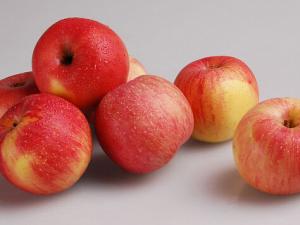 吃蘋果傷牙?蘋果酸含量低微不足以損傷牙齒