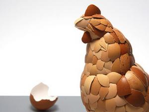 雞蛋養(yǎng)分價(jià)值都差未幾-怎么選購(gòu)新鮮雞蛋?